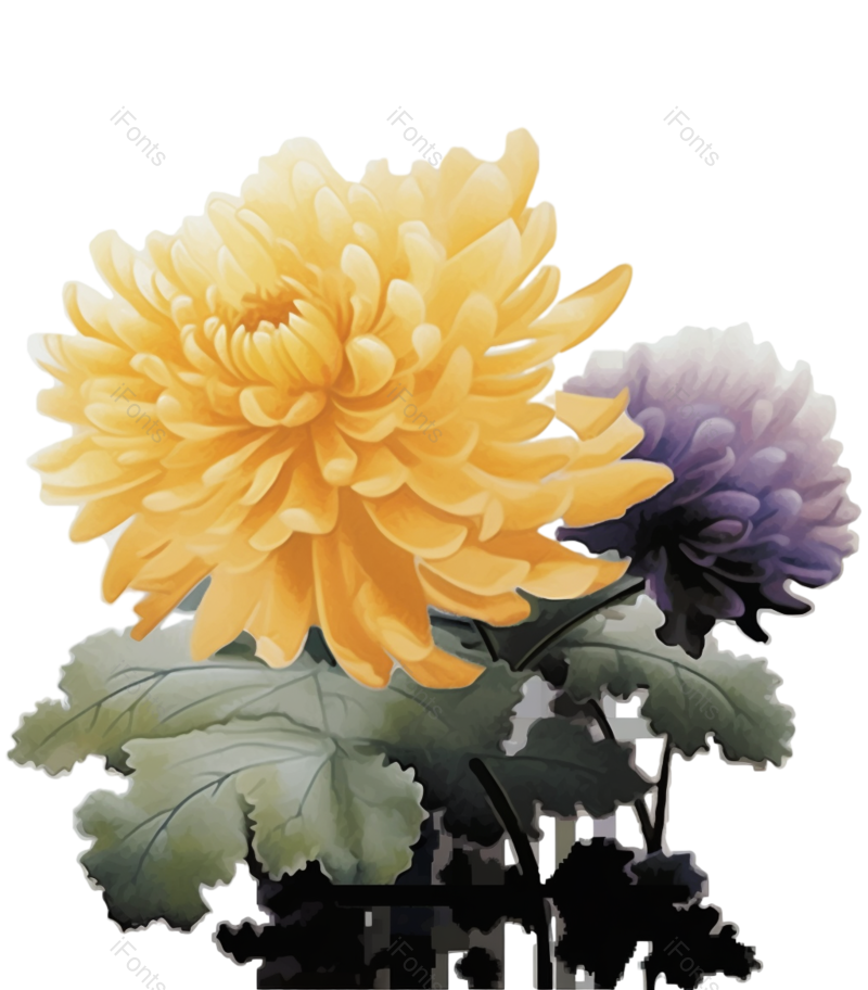 元素图片,清新元素,菊花PNG,秋天免抠素材